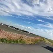 テテの画像