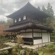 シャンクスの画像