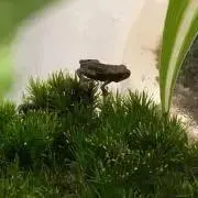 め〜〜の画像