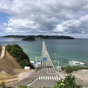 ちりの画像
