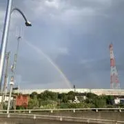 gumiの画像