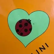 綾瀬絵里★プロフ必読の画像