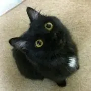 ぎんた