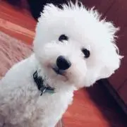 ぼむ ＊断捨離中＊の画像