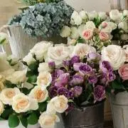 jullyの画像