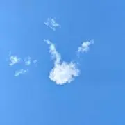 ゆきだるまの画像