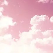フラワーの画像