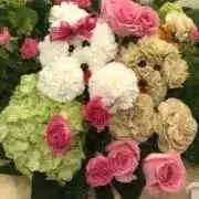 まだむの画像