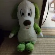 きのぴーの画像