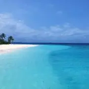 みーの画像