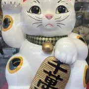 ドン•セルフ