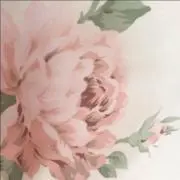 mk