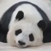 たんの画像