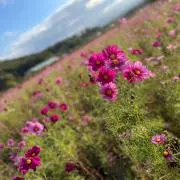 ⭐︎すみ⭐︎の画像