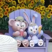 ぴんちゃまの画像