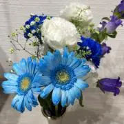 ムーンの画像