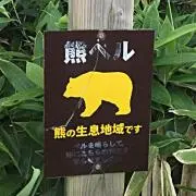 きくおーの画像