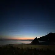 みーの画像