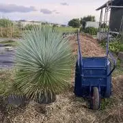 SABOTENの画像