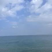 お寿司の画像