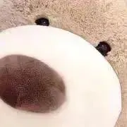 まのこ 即購入OKの画像