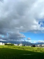 sasaの画像