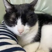 Image of ひろ★即購入OK♪