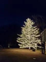Mamiの画像