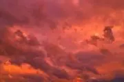 茜の画像
