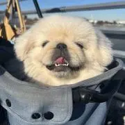 なこの画像
