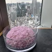 ゆっこ☺︎の画像
