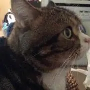 のんちゃん
