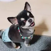KKmama♡の画像