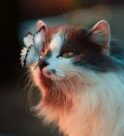 keiの画像