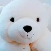 ピースの画像