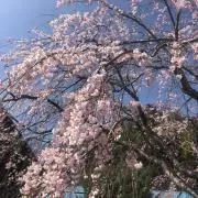 Yama