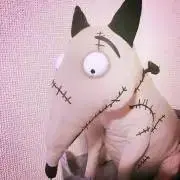 糸の画像