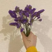 uの画像