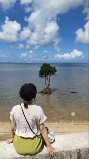 モコモコの画像