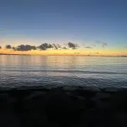 Peaceの画像