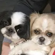 エンちゃんsの画像