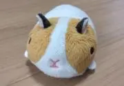 mi-taの画像