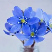 ☆yyy☆の画像