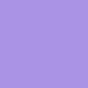 リムの画像
