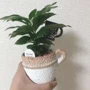 kiki☆まとめ買い大歓迎‼︎の画像