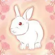 披露宴司会台本・CD 友人司会 結婚式 二次会 人前式 シナリオ - メルカリ