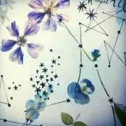 hummingの画像