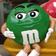 すーちゃんの画像