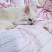 かれんママ個室入院中プロフ必読！！