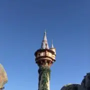 riiiiの画像